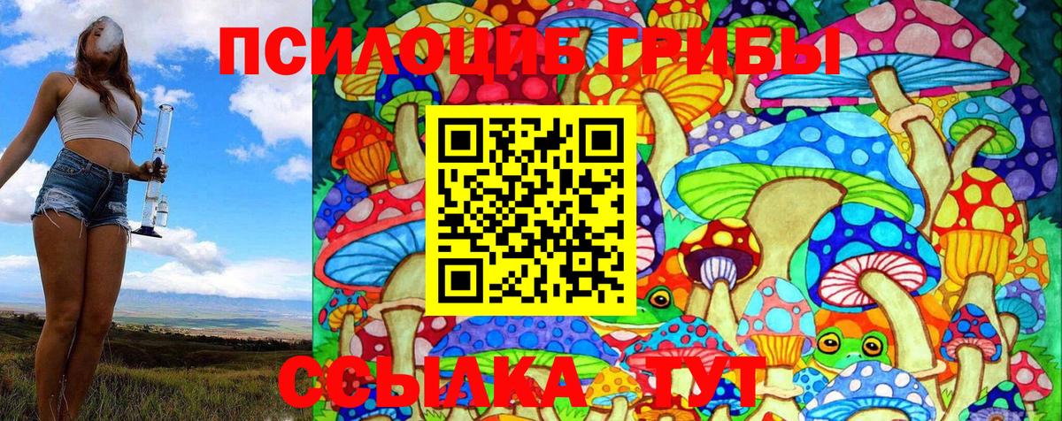 Галлюциногенные грибы Psilocybe  Вход с VPN  Новозыбков 